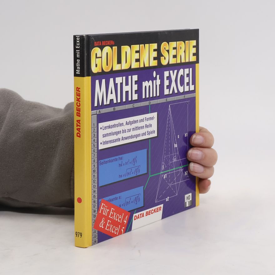 Kolektiv autorů Mathe mit Excel