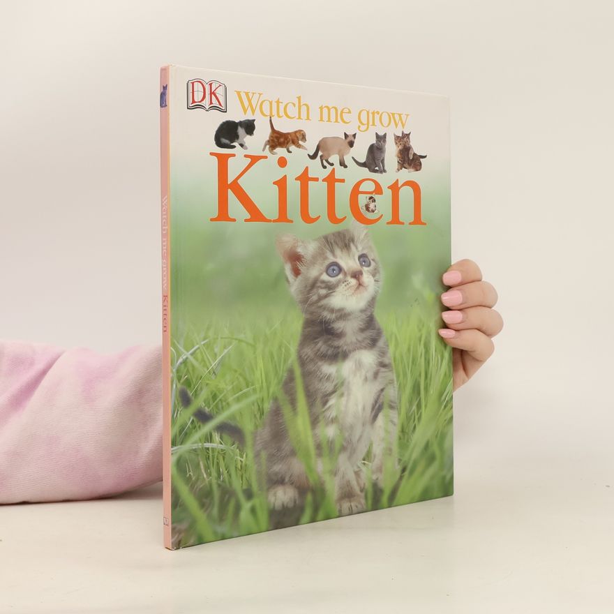Kolektiv autorů Kitten