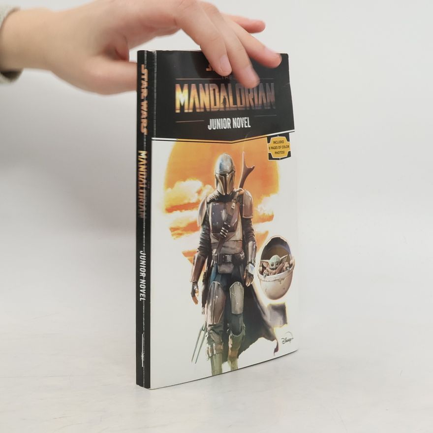 Joe Schreiber Star Wars: The Mandalorian Junior Novel