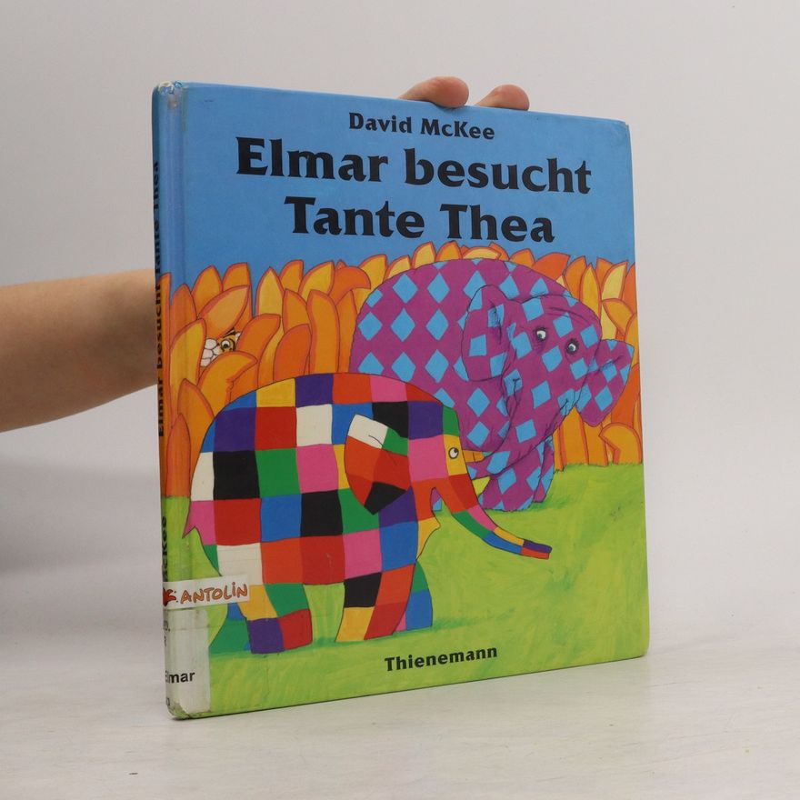 David McKee Elmar besucht Tante Thea