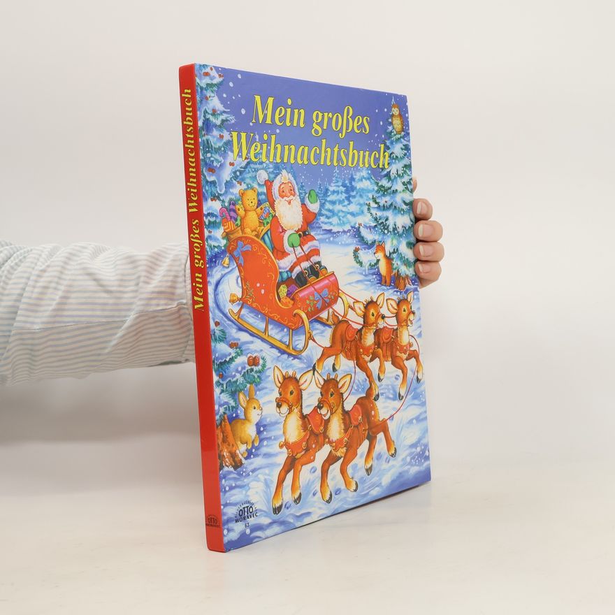 Autorenkollektiv Mein großes Weihnachtsbuch
