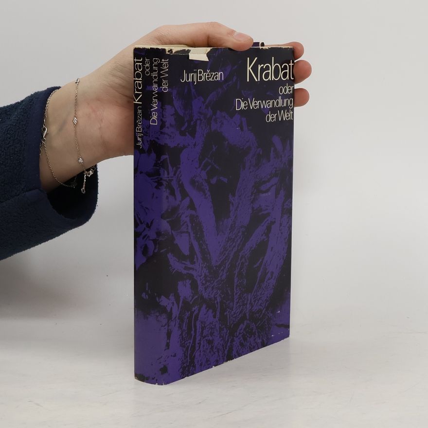 Jurij Brězan Krabat oder Die Verwandlung der Welt