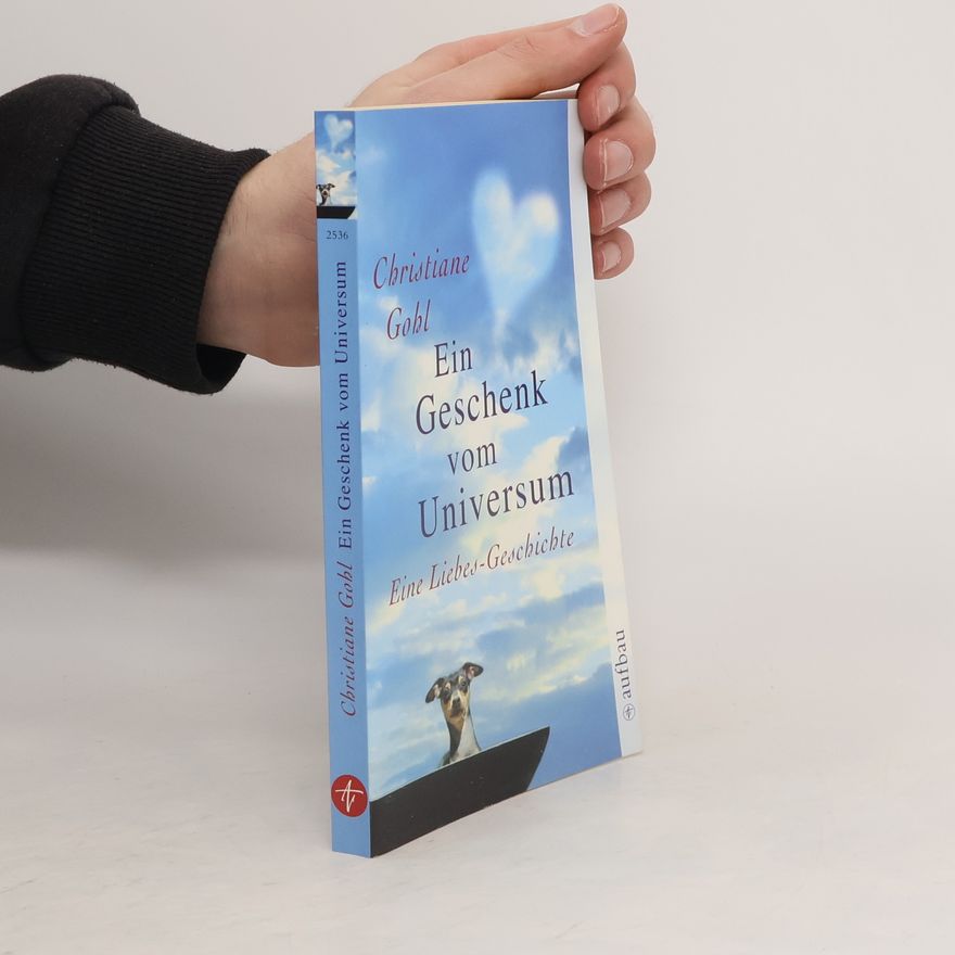 Christiane Gohl Ein Geschenk vom Universum. Eine Liebes-Geschichte