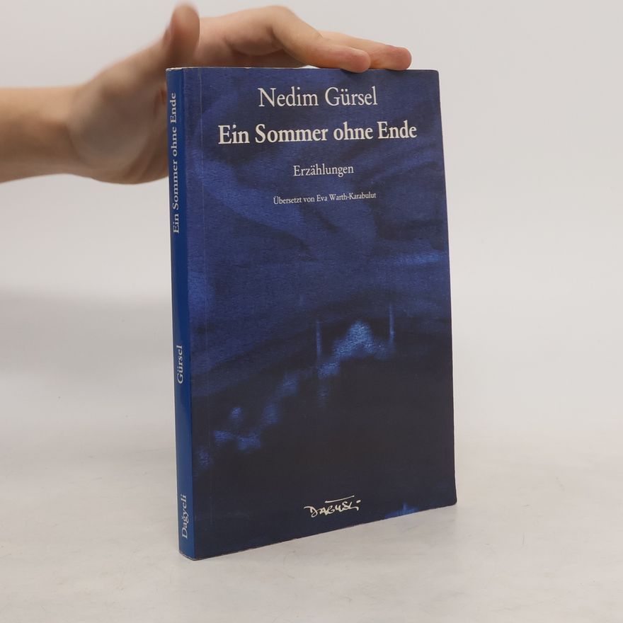Nedim Gürsel Ein Sommer ohne Ende