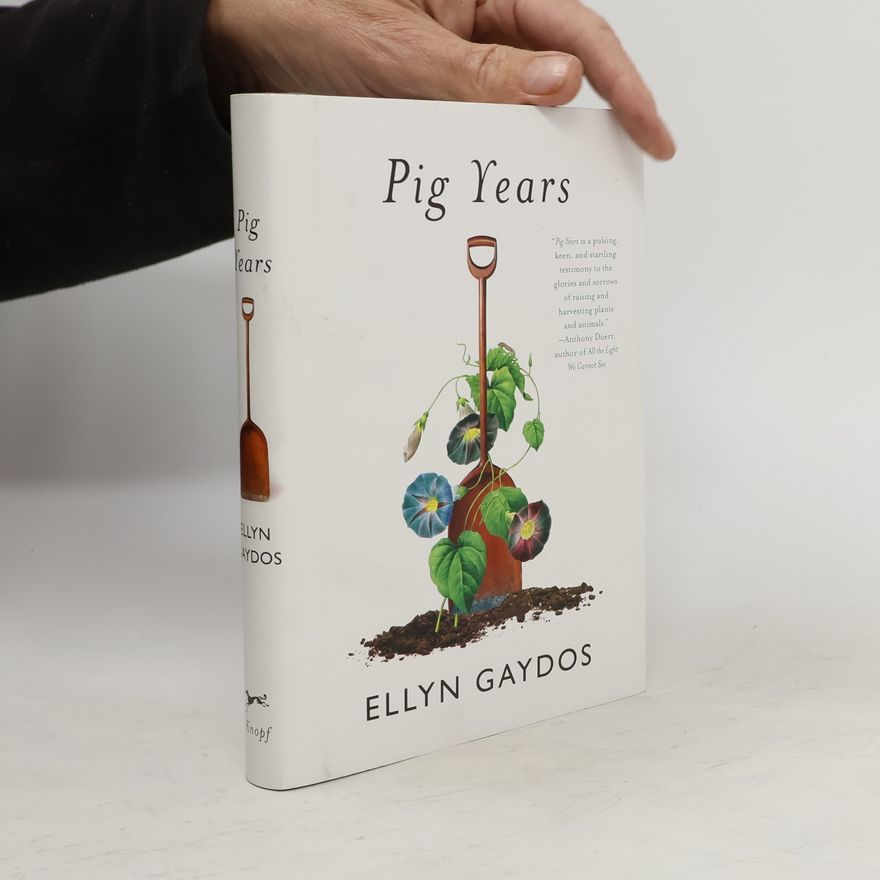 Ellyn Gaydos Pig Years