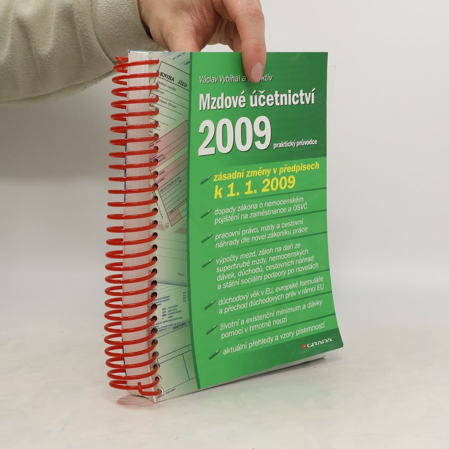 Autorenkollektiv Mzdové účetnictví 2009