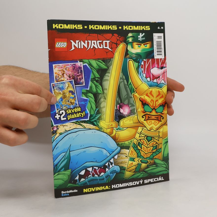 Autores varios LEGO: Ninjago č.11