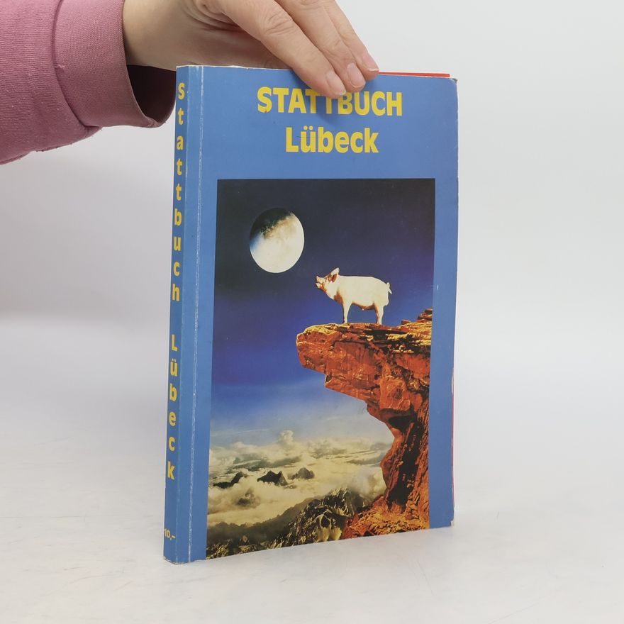 Kolektiv autorů Stattbuch Lübeck
