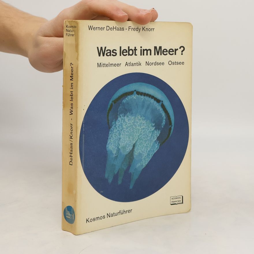 Fredy Knorr Was lebt im Meer?