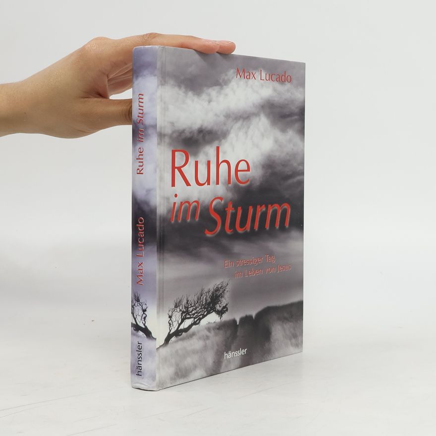 Herta Martinache Ruhe im Sturm. Ein stressiger Tag im Leben von Jesus