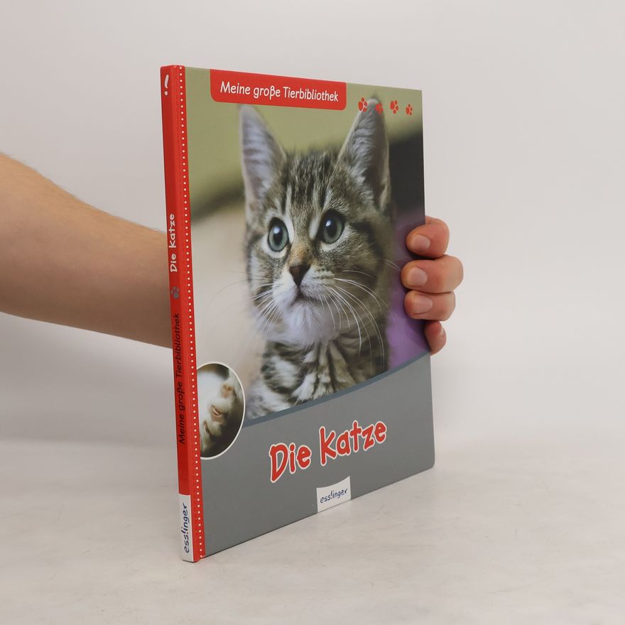 Stéphane Frattini Die Katze