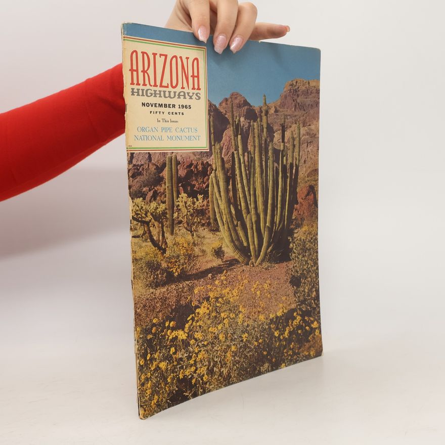 Kolektiv autorů Arizona Highways 11/1965