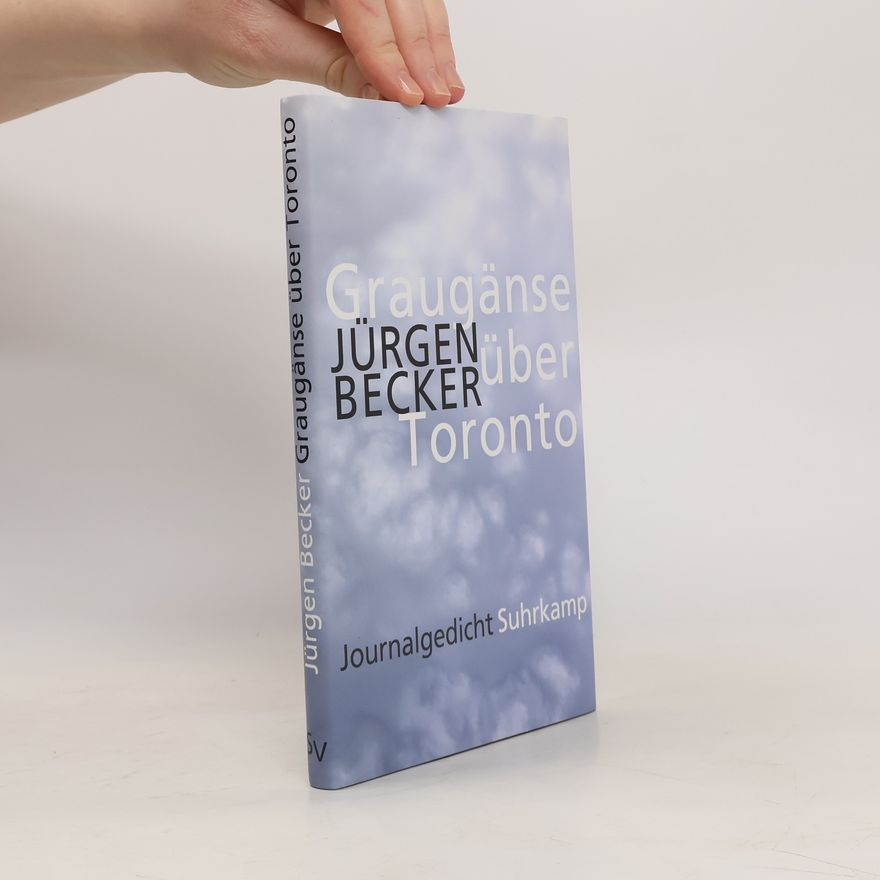 Jürgen Becker Graugänse über Toronto