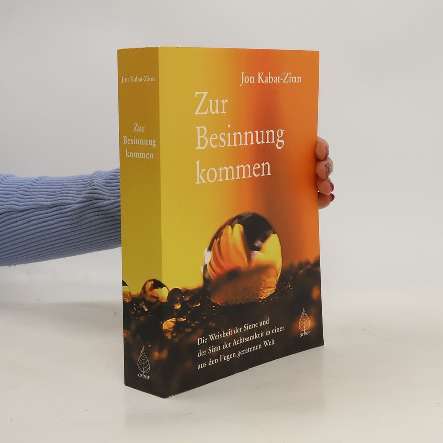 Jon Kabat-Zinn Zur Besinnung kommen
