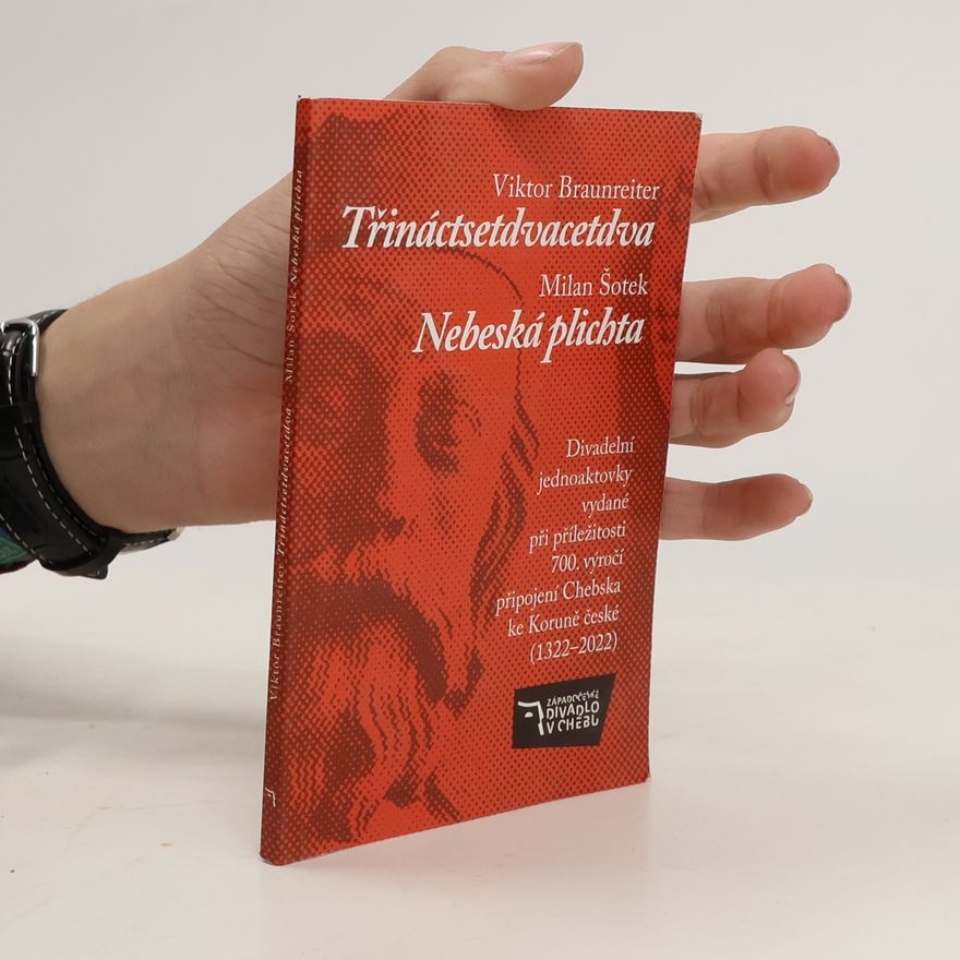 Viktor Braunreiter Třináctsetdvacetdva. Nebeská plichta