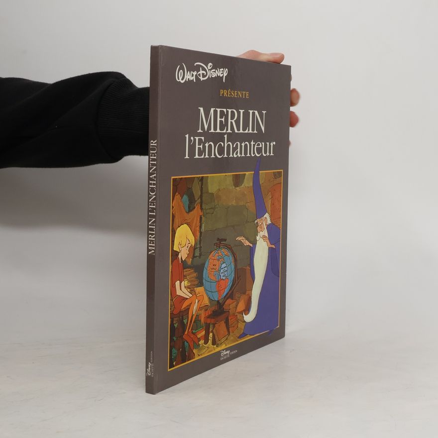 Kolektiv autorů Merlin l'enchanteur