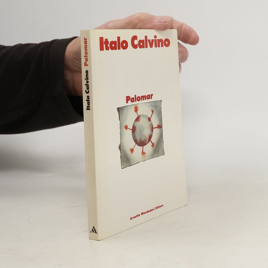 Italo Calvino Palomar