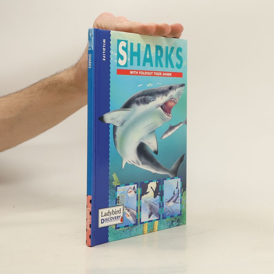 Mark Oakley Sharks