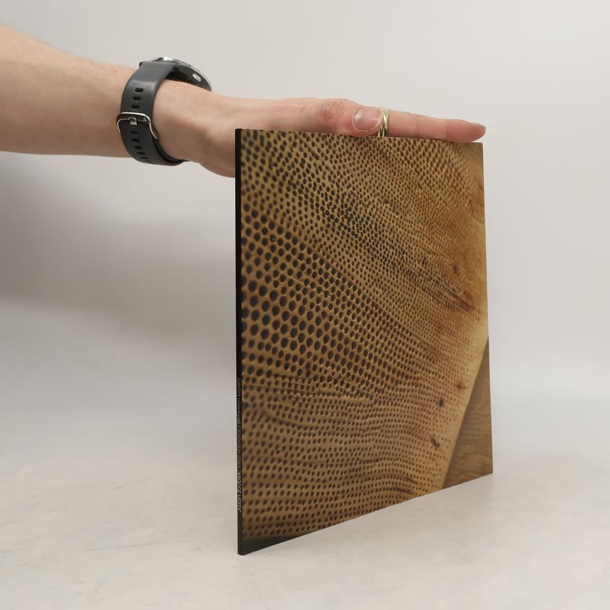 Jasan Zoubek Mezi vrstvami. Between Layers