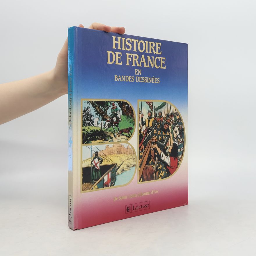Kolektiv autorů Histoire de France en Bandes Dessinées