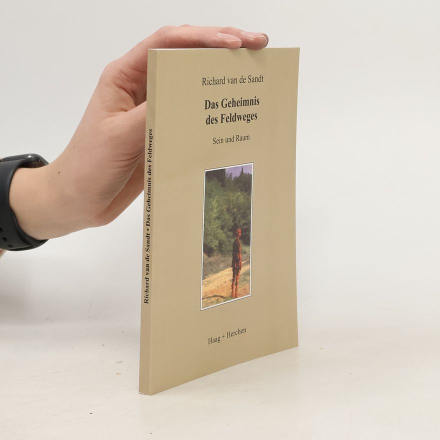 Richard van de Sandt Das Geheimnis des Feldweges