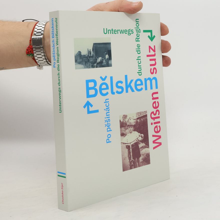 Karl Reitmeier Po pěšinách Bělskem