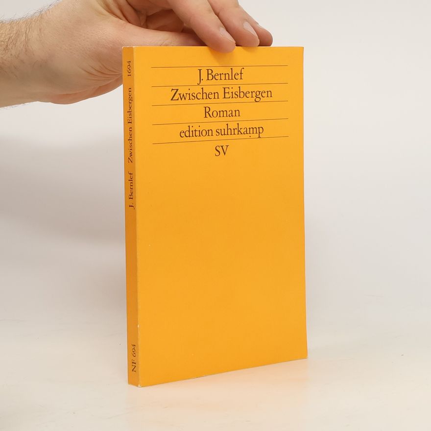 J. Bernlef Zwischen den Eisbergen
