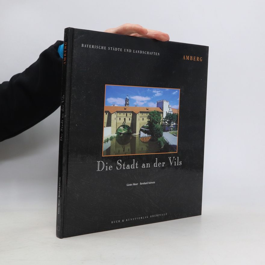 Günter Moser Die Stadt an der Vils