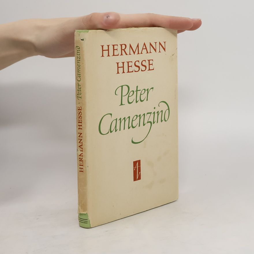 Hermann Hesse Die Romane und die Grossen Erzählungen Band 1 - Peter Camenzind. Unterm Rad