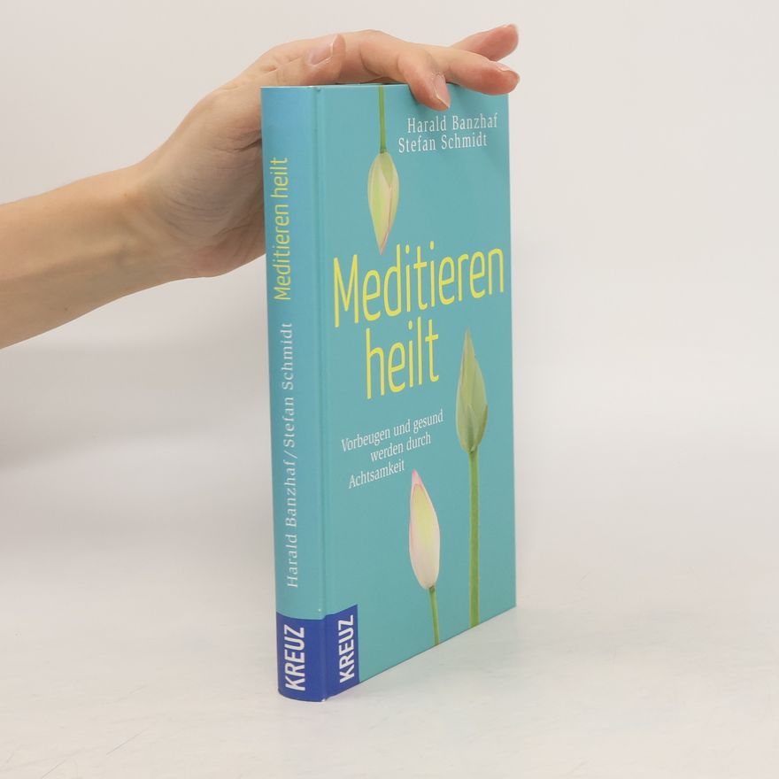 Harald Banzhaf Meditieren heilt