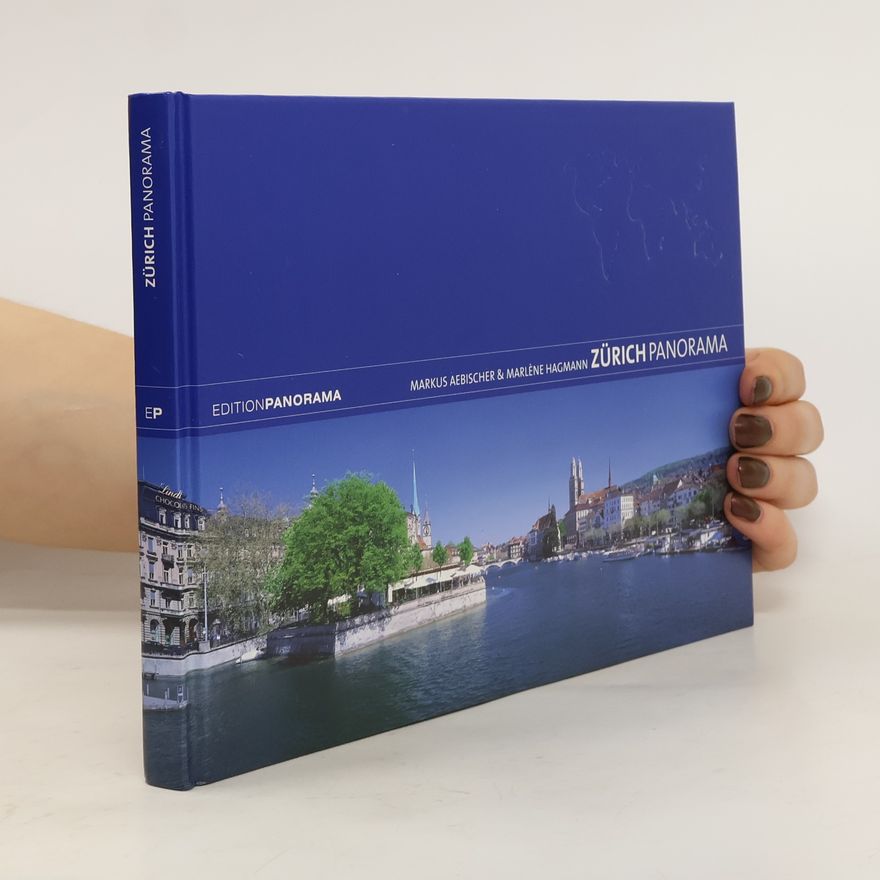 Markus Aebischer Zürich-Panorama