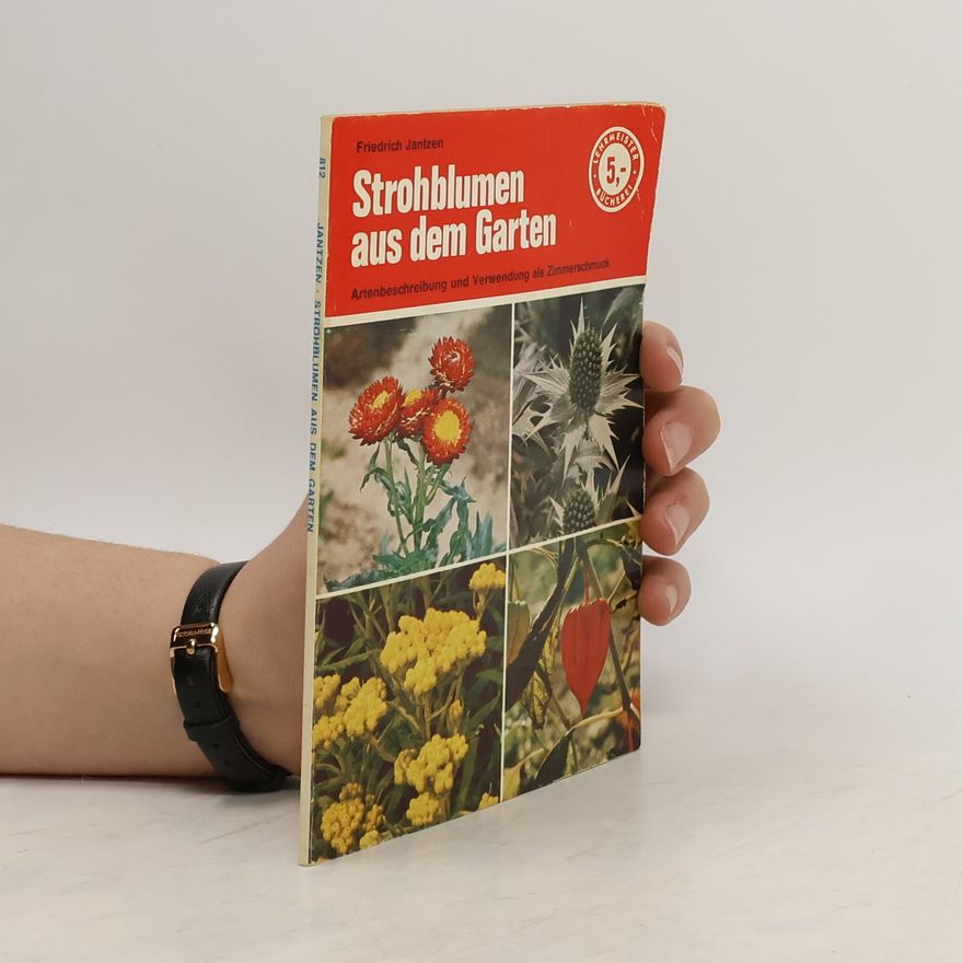 Friedrich Jantzen Strohblumen aus dem Garten