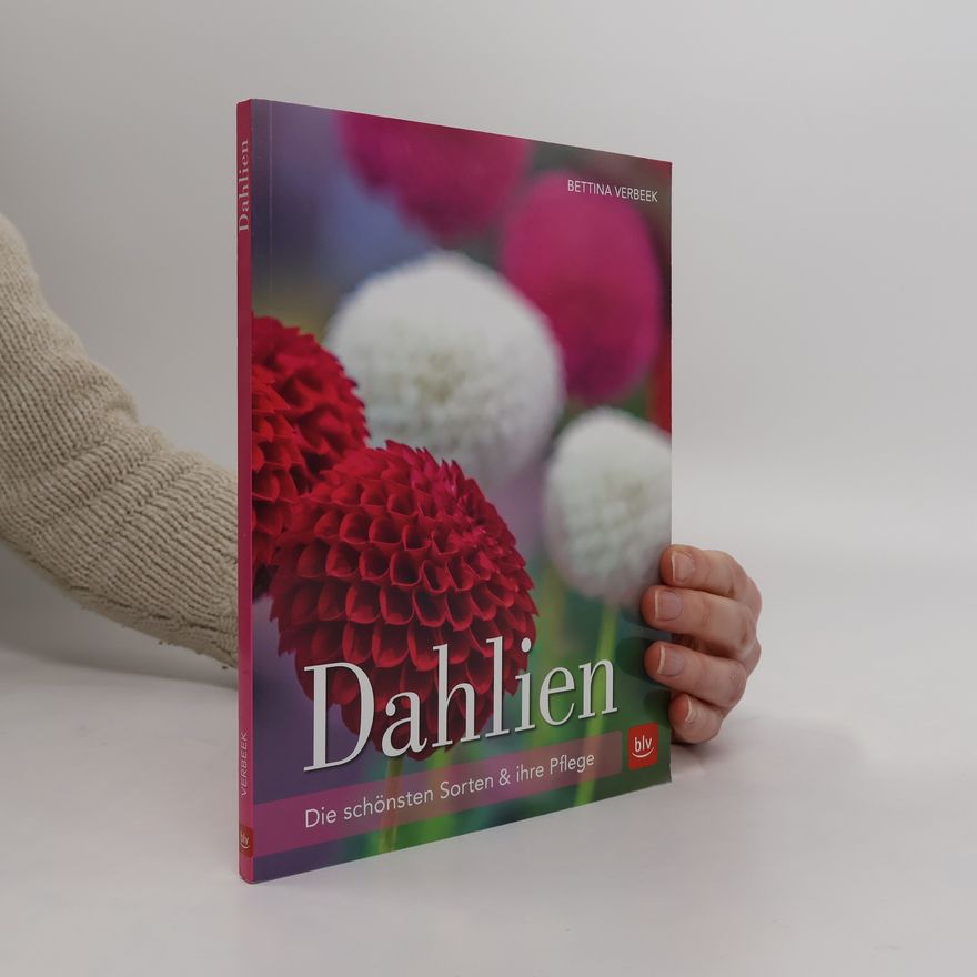 Bettina Verbeek Dahlien