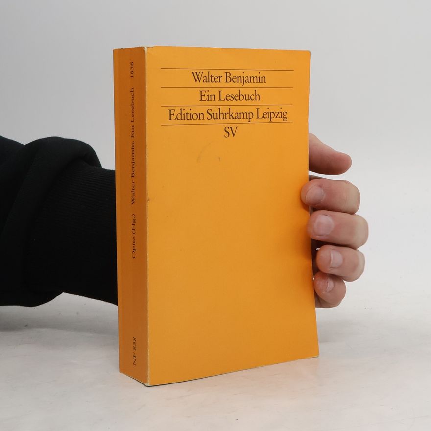 Walter Benjamin Ein Lesebuch