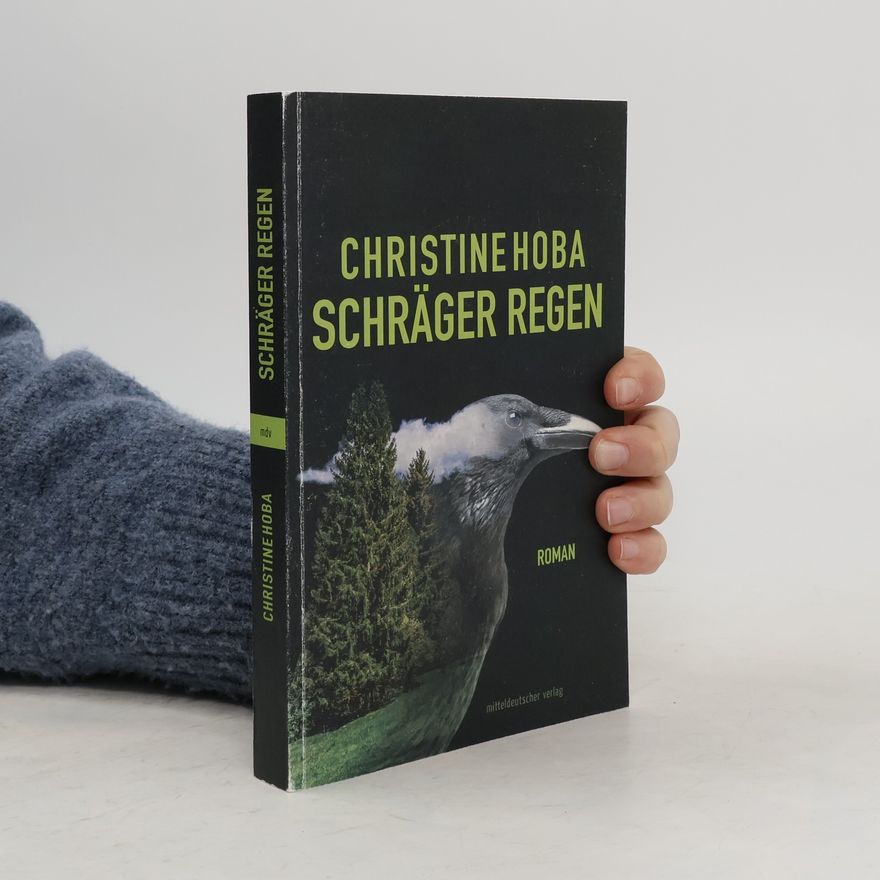Christine Hoba Schräger Regen