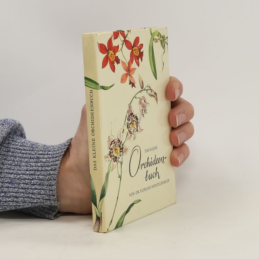 Elfrune Wendelberger Das Kleine Orchideenbuch