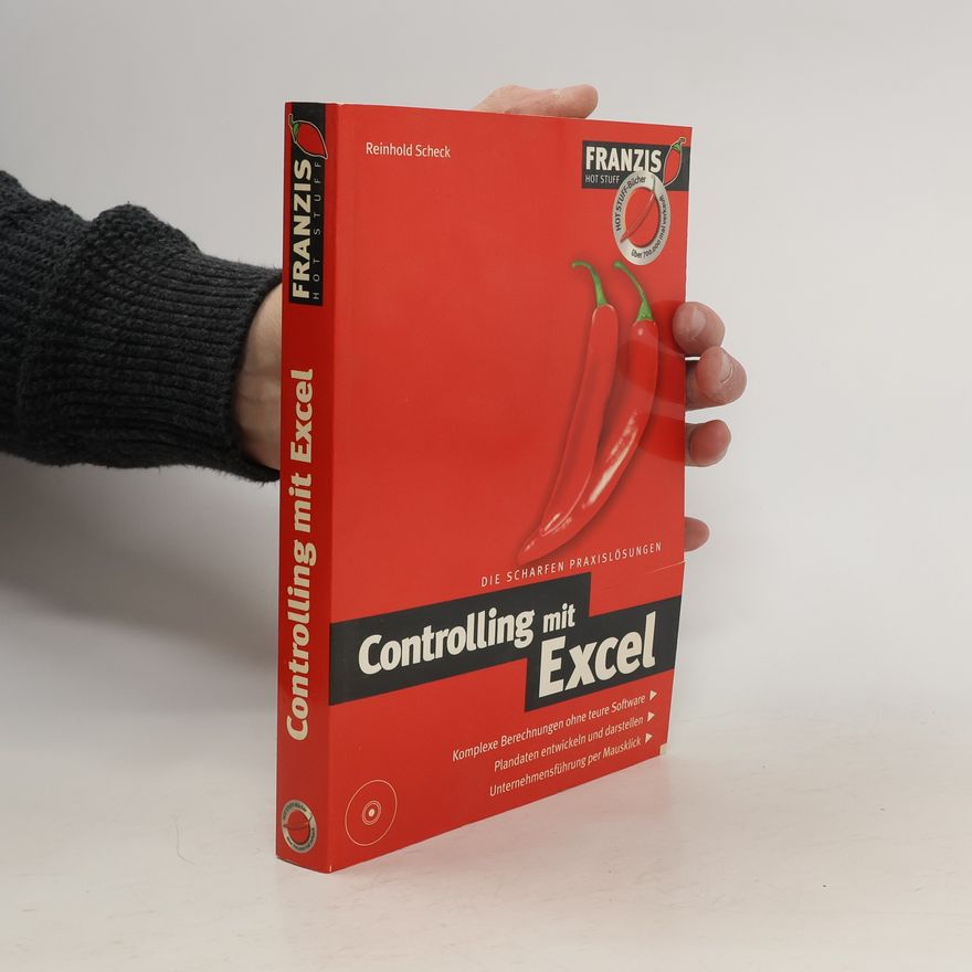 Kolektiv autorů Controlling mit Excel