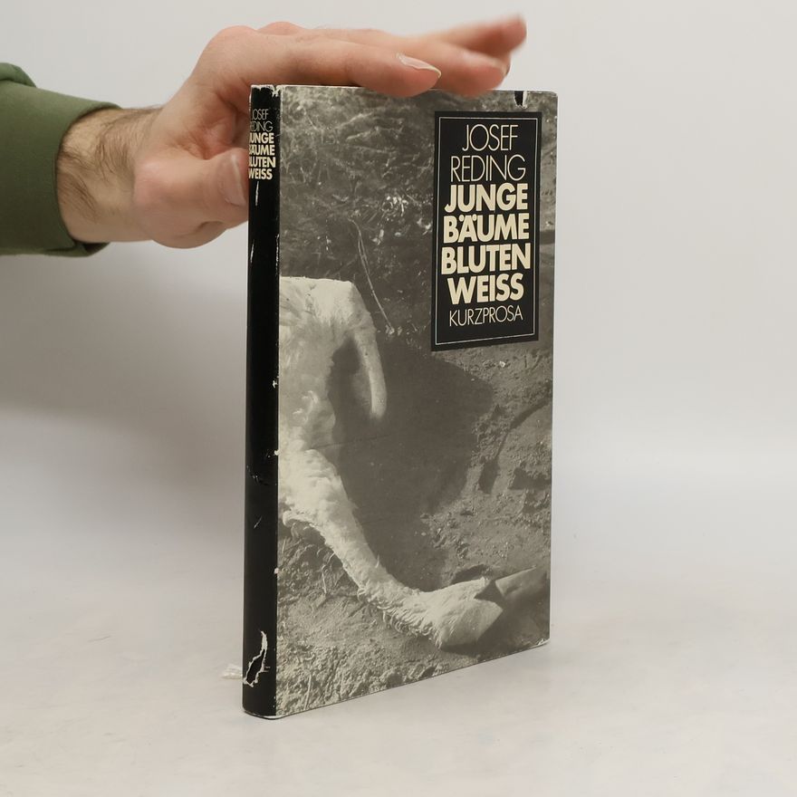 Josef Reding Junge Bäume bluten weiss