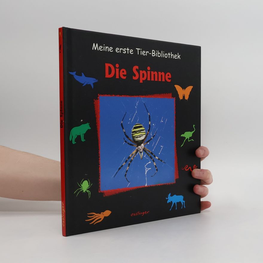 Anne Vallet Die Spinne