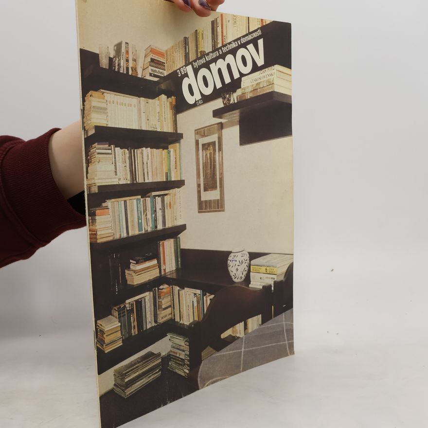 Kolektiv autorů Domov 3 ´89