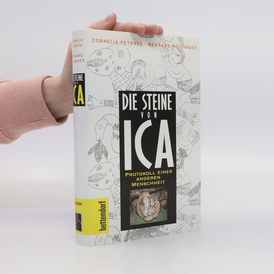 Cornelia Petratu Die Steine von Ica