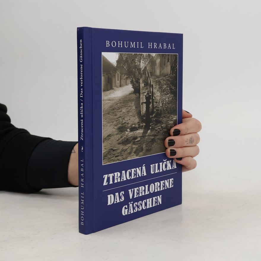 Maria Hammerich Maier Ztracená ulička, Das verlorene Gässchen