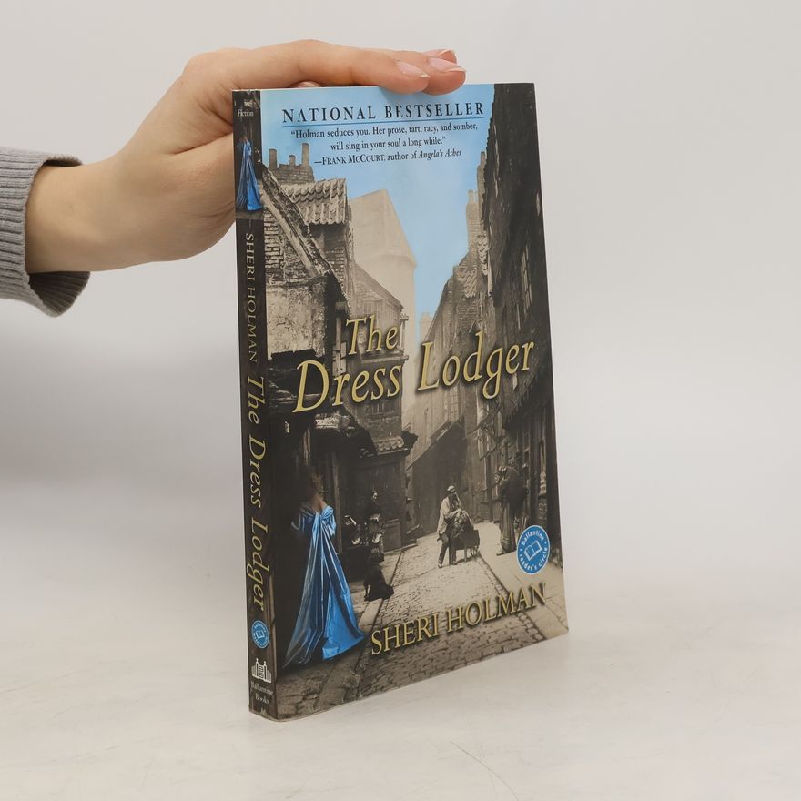 Sheri Holman The Dress Lodger