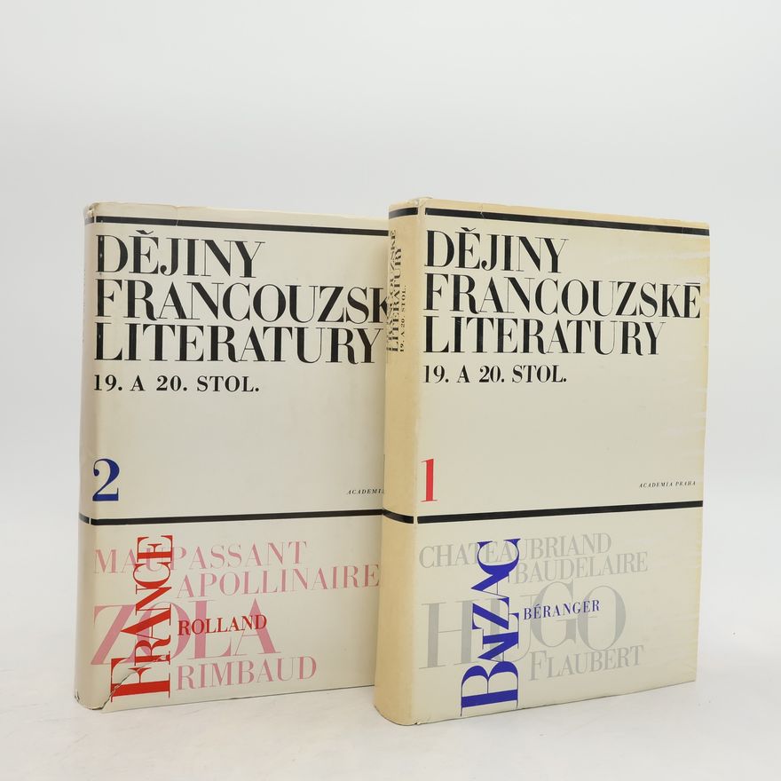 Autorenkollektiv Dějiny francouzské literatury 19. a 20. století. Díl 1-2