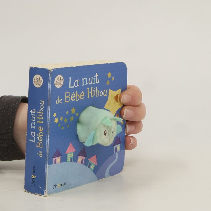 Autorenkollektiv La nuit de Bébé Hibou