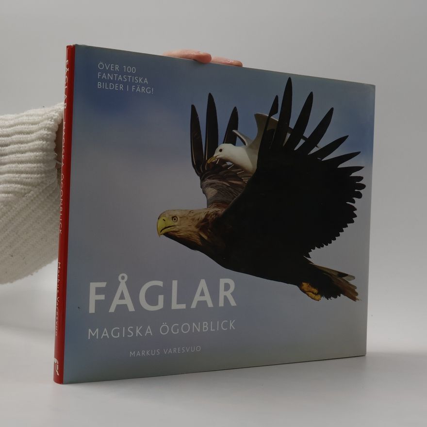 Markus Varesvuo Fåglar. Magiska ögonblick