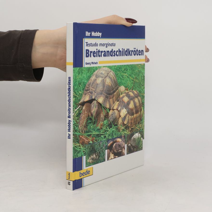 Georg Mirlach Breitrandschildkröten
