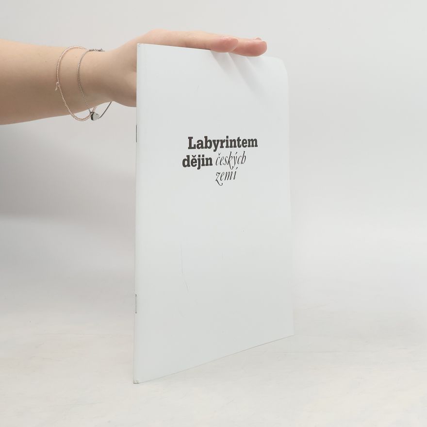 Kolektív autorov Labyrintem dějin českých zemí