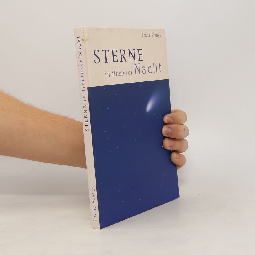 Franz Stangl Sterne in finsterer Nacht