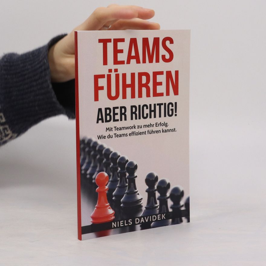 Niels Davidek Teams Führen - Aber Richtig!